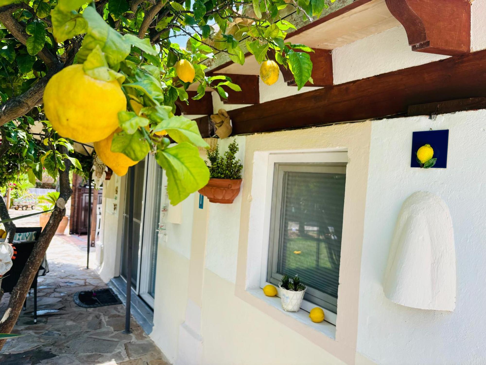 Villa Casita Limon Andratx Exterior foto